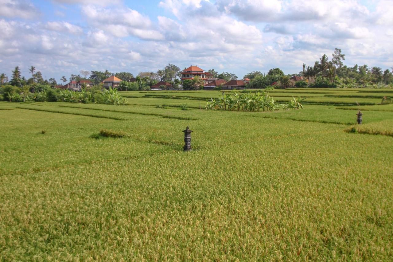 Kubu Sari Ubud Kültér fotó
