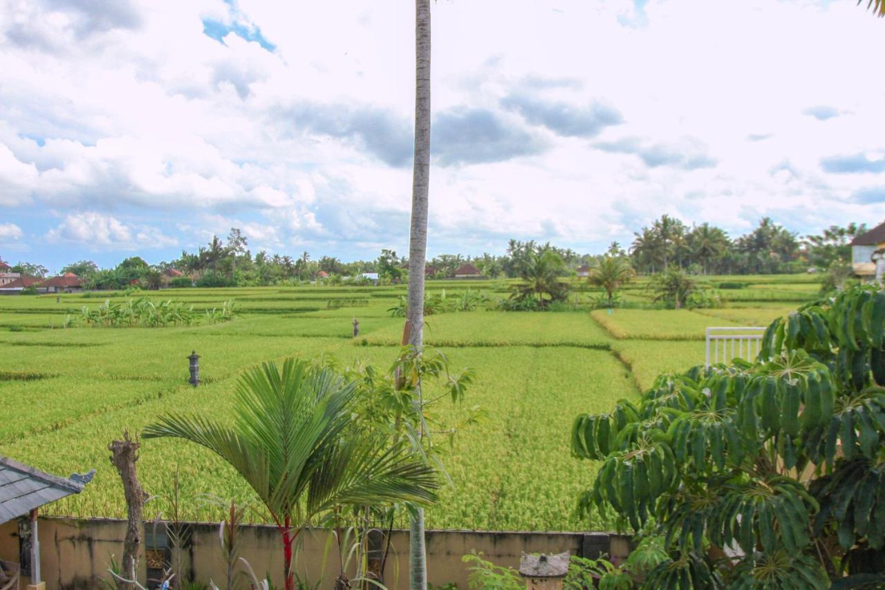 Kubu Sari Ubud Kültér fotó