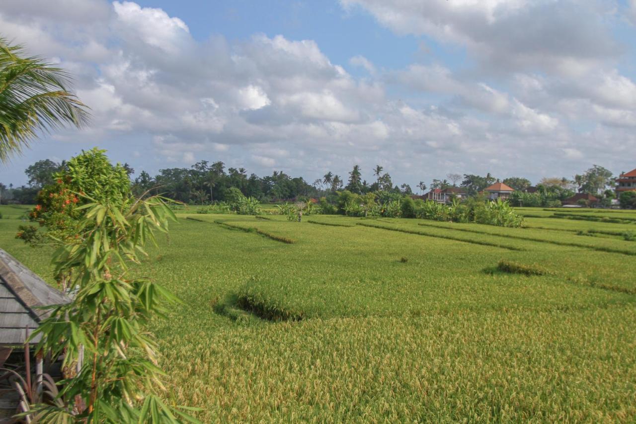 Kubu Sari Ubud Kültér fotó