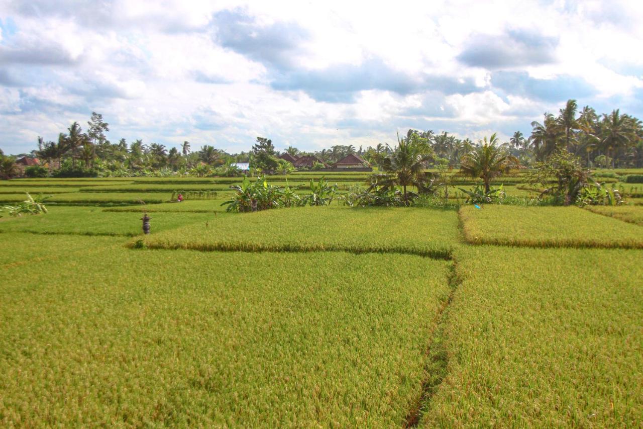 Kubu Sari Ubud Kültér fotó